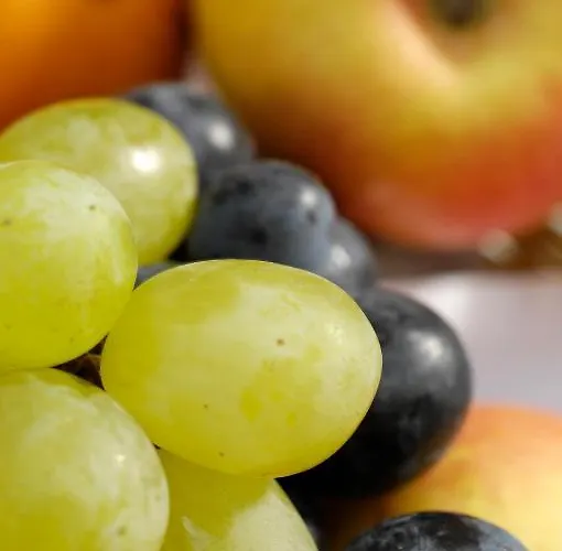 Hotel Klinglhuber Hotel Krems an der Donau